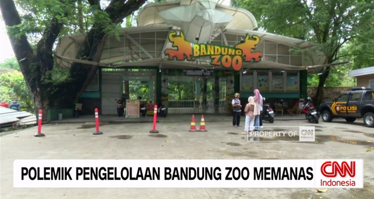 Menelusuri Akar Permasalahan Bandung Zoo Yang Kian Memanas