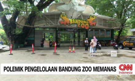 Menelusuri Akar Permasalahan Bandung Zoo Yang Kian Memanas