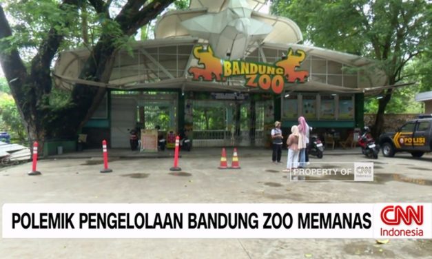 Menelusuri Akar Permasalahan Bandung Zoo Yang Kian Memanas