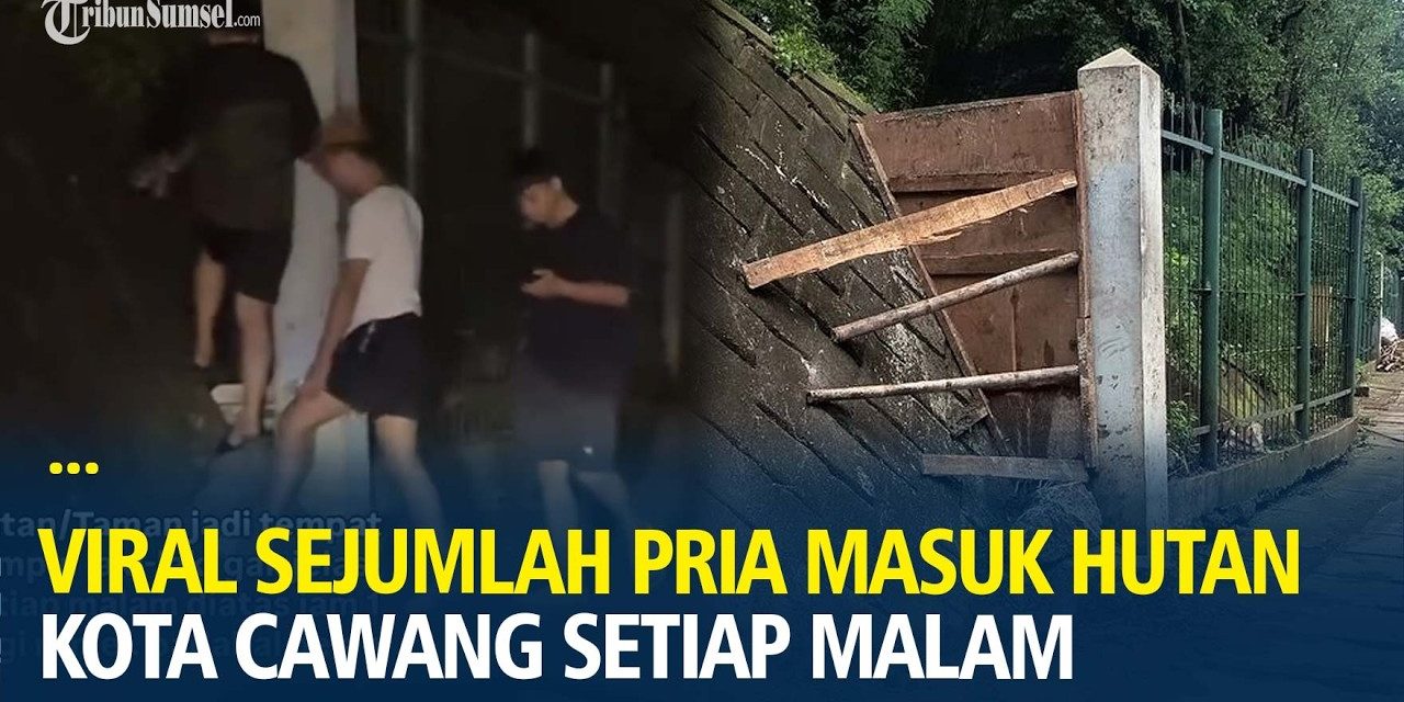 Pemantauan Ketat Di Hutan Kota Cawang, Perkuat Patroli Malam