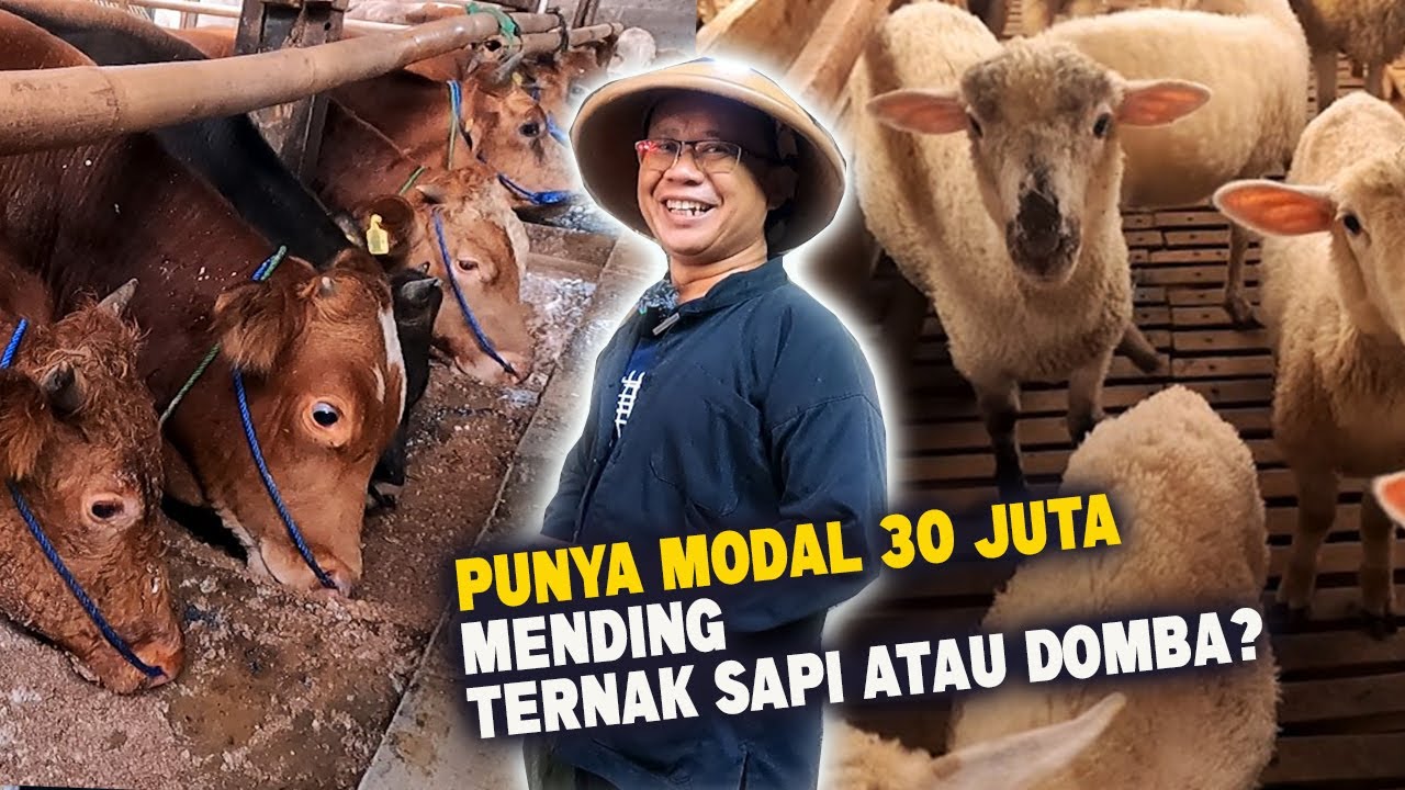 Lebih Cepat Balik Modal