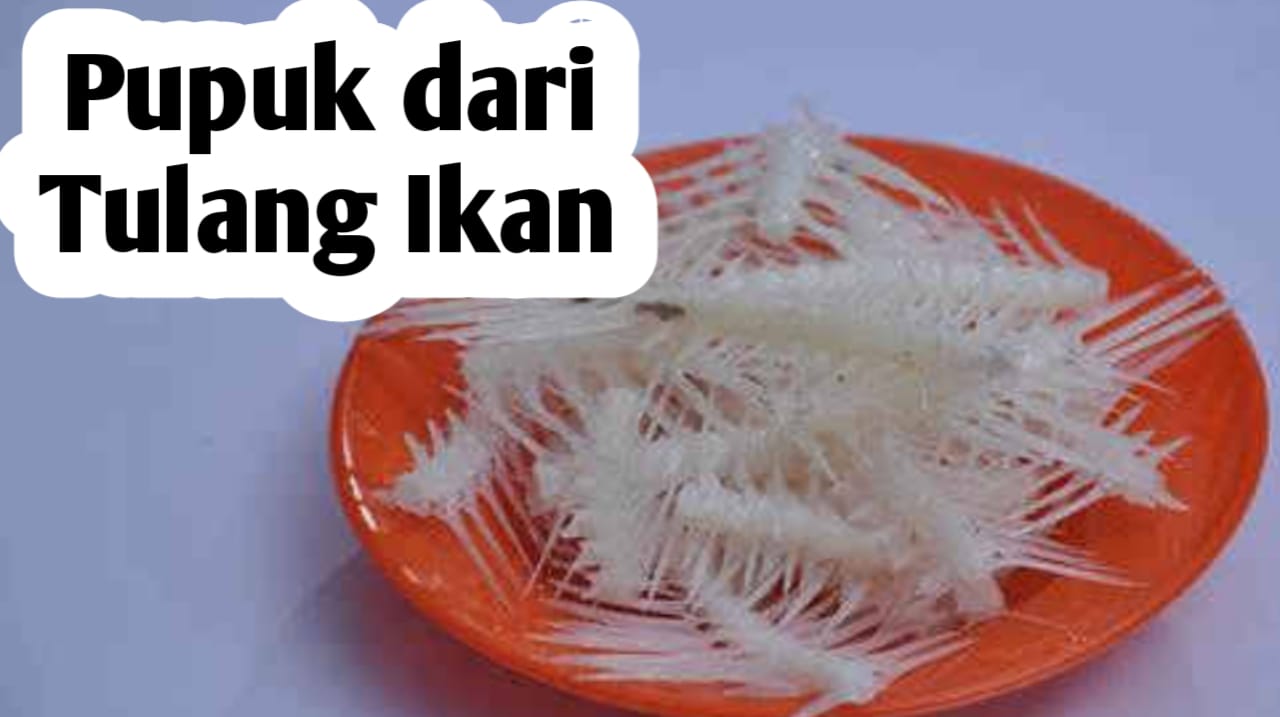 Pupuk Organik