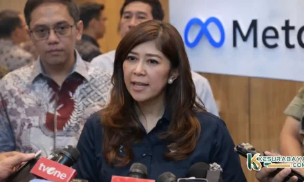 Meta Sambangi Menkomdigi Meutya Hafid, Ini Topik Yang Dibahas