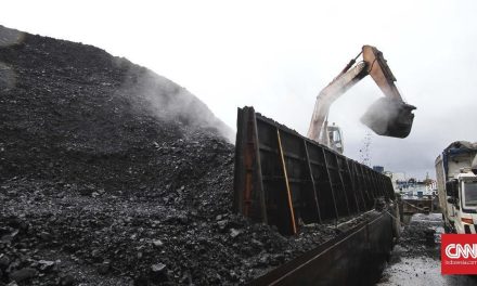 Importir Batubara Terbesar India Pecahkan Rekor Baru