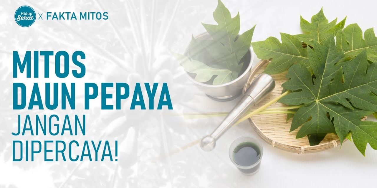Khasiat Daun Papaya Menjaga Kesehatan Secara Menyeluruh