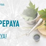 Khasiat Daun Papaya Menjaga Kesehatan Secara Menyeluruh