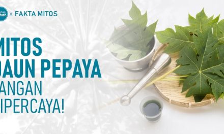 Khasiat Daun Papaya Menjaga Kesehatan Secara Menyeluruh