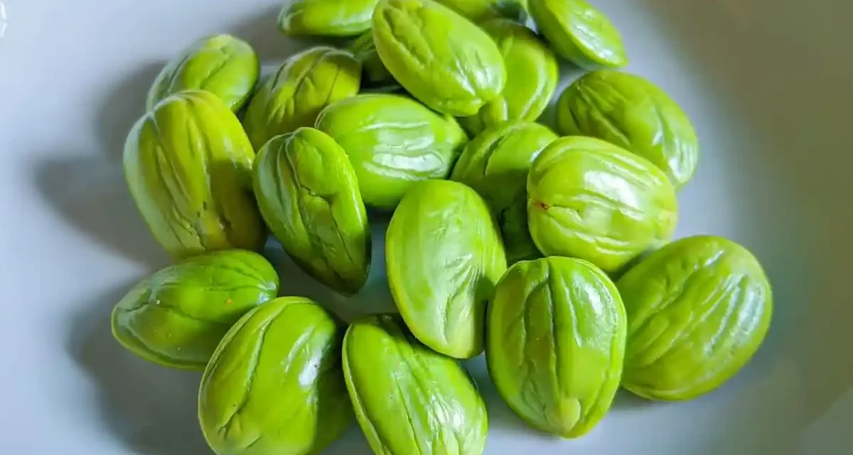Sayur Petai Makanan Khas Yang Di Gemari Karena Aroma Uniknya