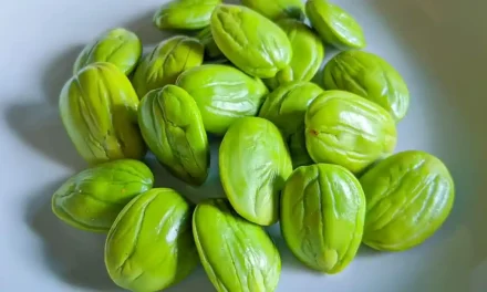 Sayur Petai Makanan Khas Yang Di Gemari Karena Aroma Uniknya