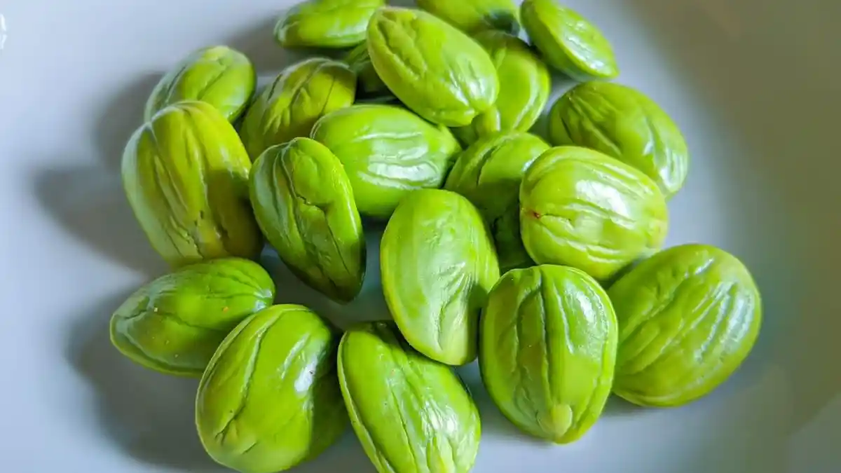 Sayur Petai