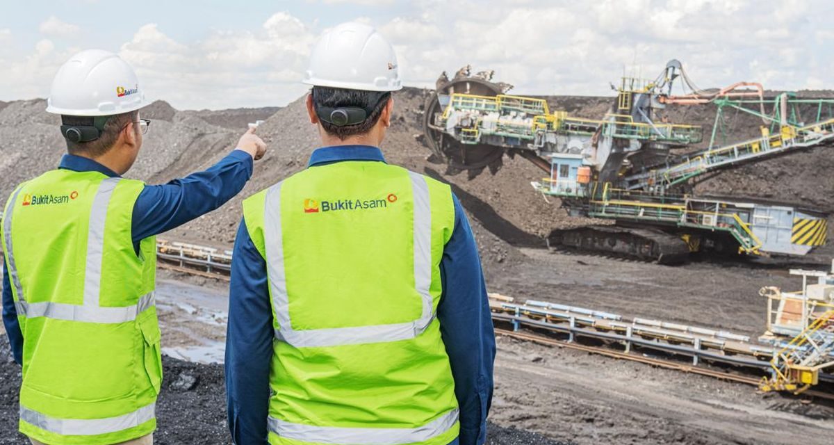 PT Bukit Asam Pemain Utama Dalam Industri Batu Bara Nasional